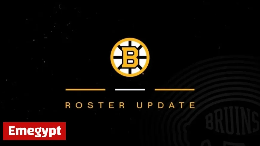 Bruins Reveal Exciting Updates on Training Camp Roster Movements