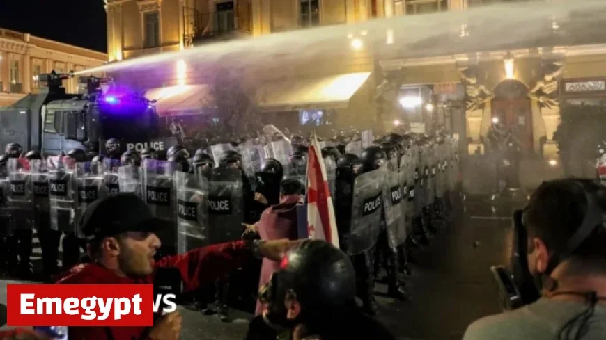 Protesters in Georgia Attempt to Storm Tbilisi Presidential Palace