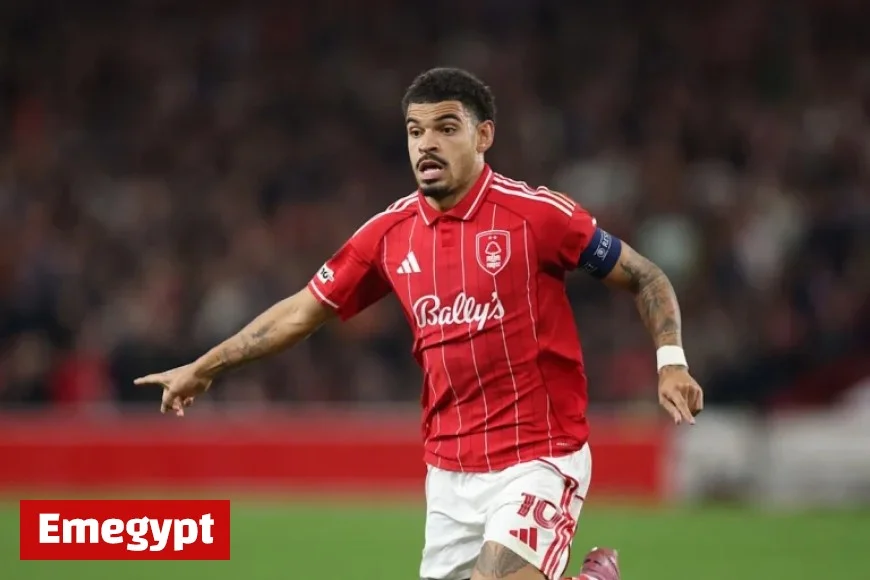 Predicted Lineup and Team News for Nottingham Forest vs Newcastle United Match