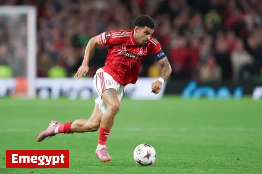 Watch Newcastle United vs Nottingham Forest Live Stream: Premier League Action and TV Channel Guide