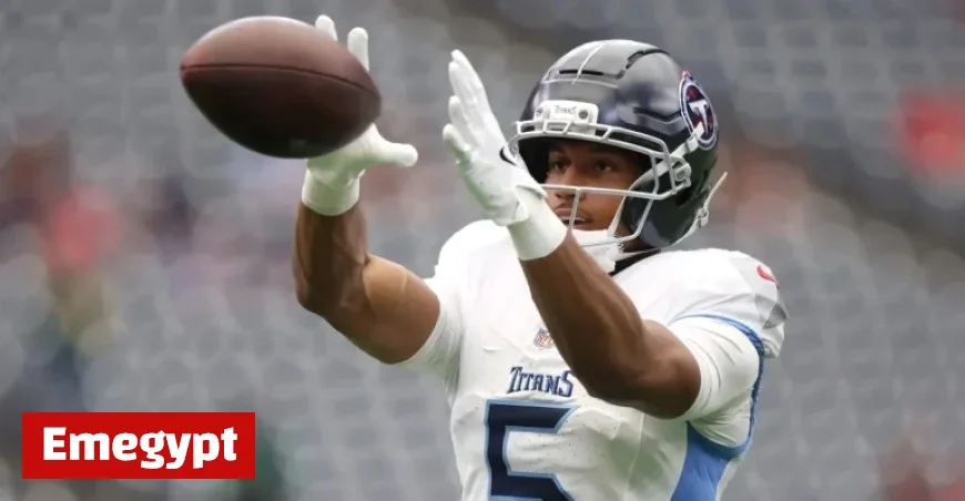 Week 5 Fantasy Football Tips: Should You Start or Sit Elic Ayomanor