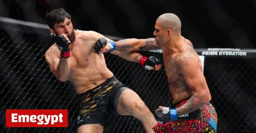 Magomed Ankalaev Breaks Silence Following Knockout Defeat to Alex Pereira