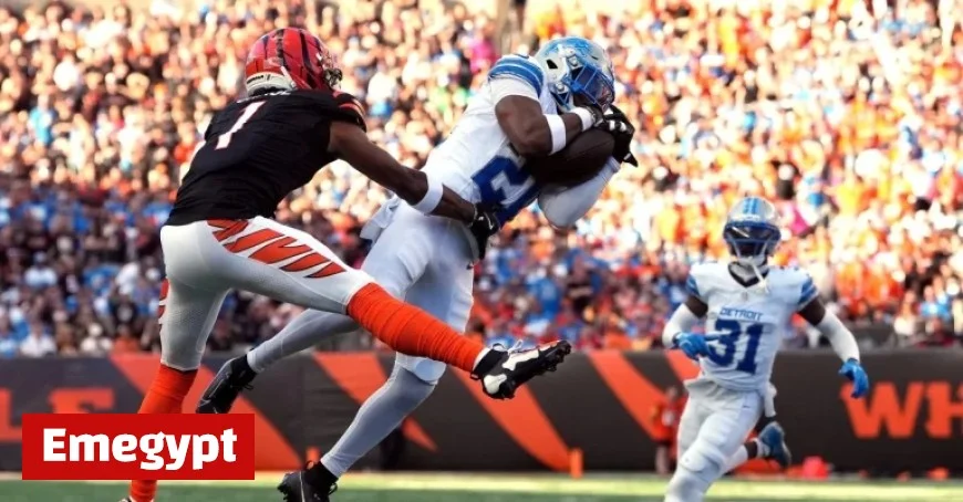Detroit Lions Week 5 Snap Counts and Personnel Usage Against Cincinnati Bengals