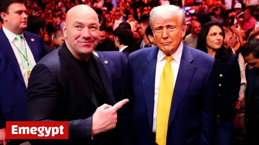 Donald Trump Announces June 14 UFC Event at the White House