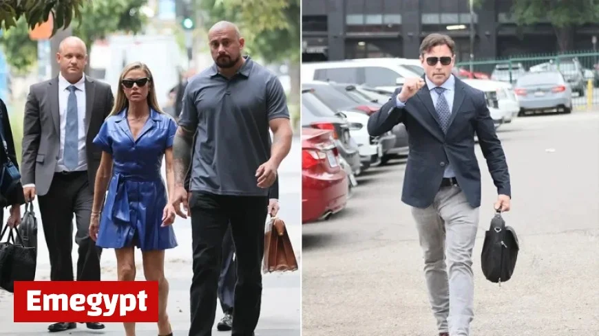 Denise Richards Breaks Down in Court Recounting Alleged Shocking Abuse