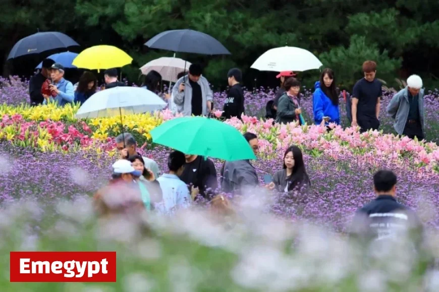 As Chuseok Holiday Ends Scattered Drizzles Persist Across the Nation