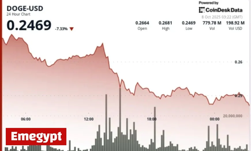 Dogecoin Drops 8 Percent Before Whale Purchases Help Stabilize DOGE at 25 Cents