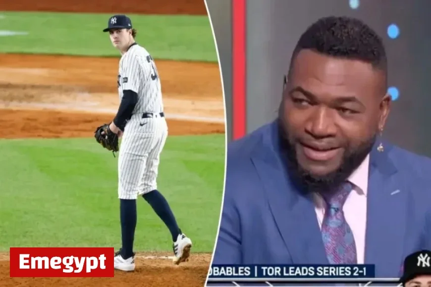 David Ortiz Causes Awkward Moment on Fox Postgame Show With Controversial Comment Sounds Like Hitler