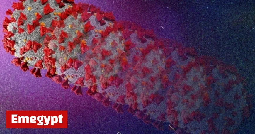 New Frankenstein COVID-19 Variant Emerges What Canadians Need to Know