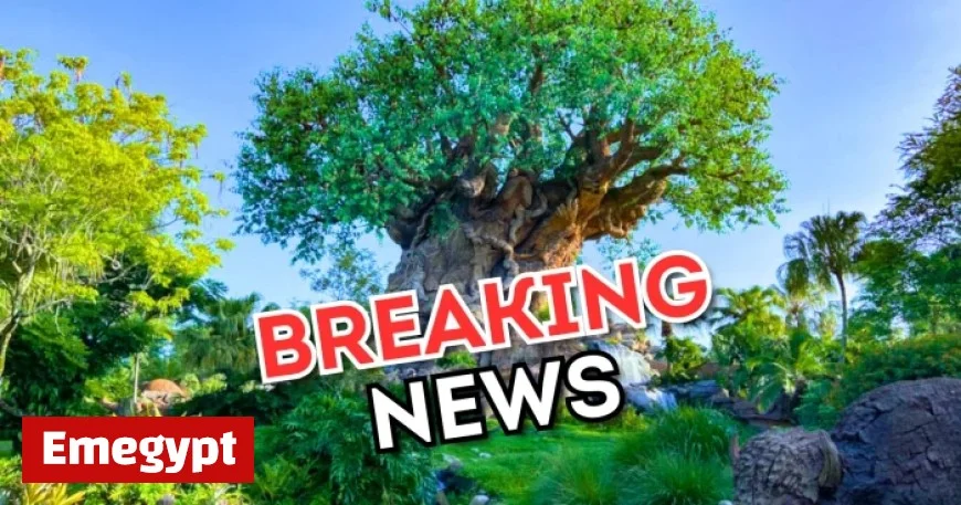 Disney World Reveals Exclusive Annual Passholder Previews for New Zootopia Attraction