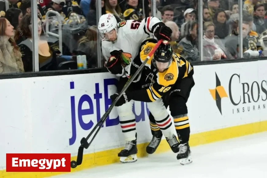 Exciting Preview of the Blackhawks vs Bruins Game and Insights on Rose Tattoo Theme