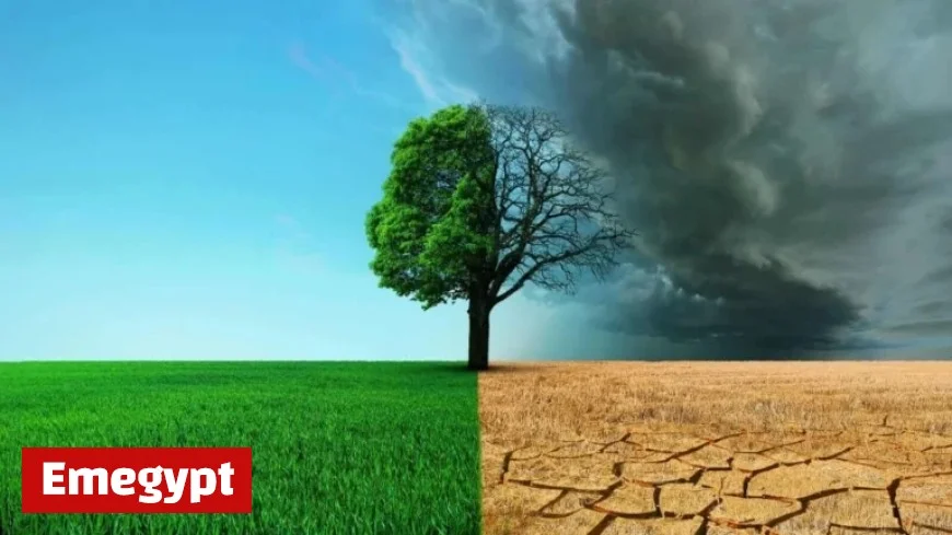 Discover Profitable Trades with Seasonal Returns: From GLD to QQQ