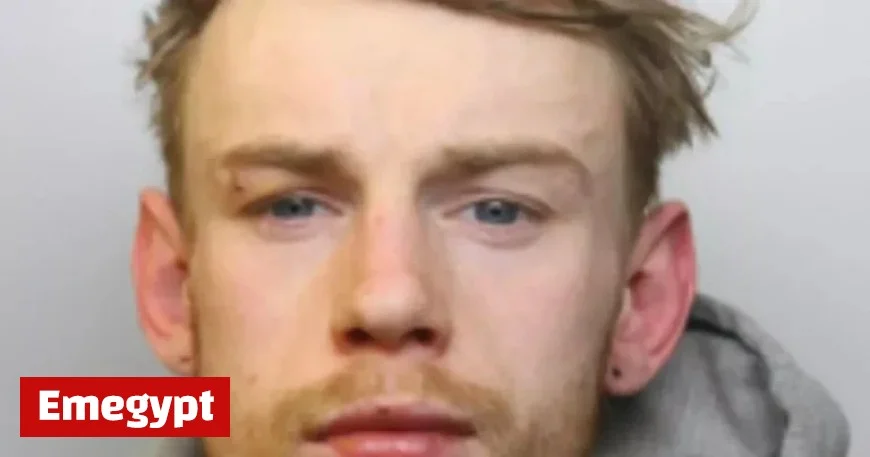 Morgan Freeman sought by police in true-to-life Shawshank plot prison recall drama