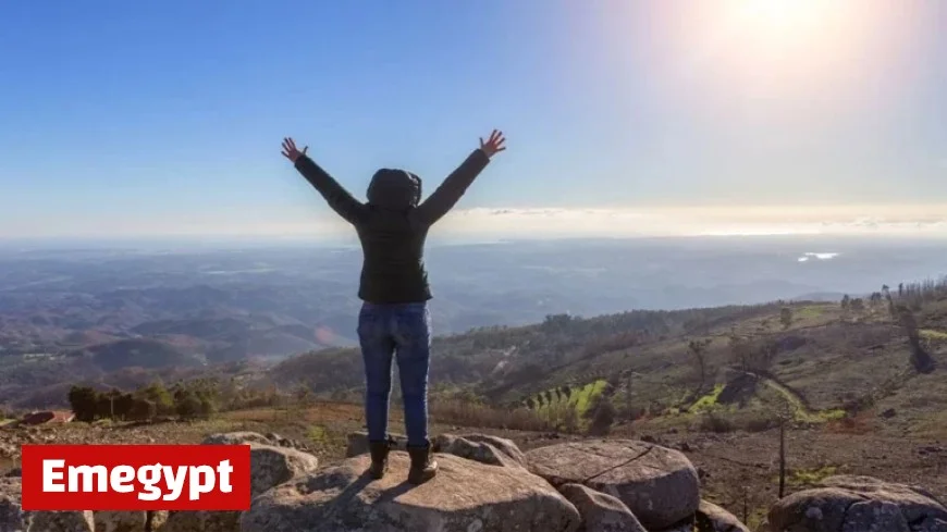 Dow Jones Futures Climb as Market Pauses Bullish Momentum; Palantir Netflix and Oracle Present Key Buy Opportunities