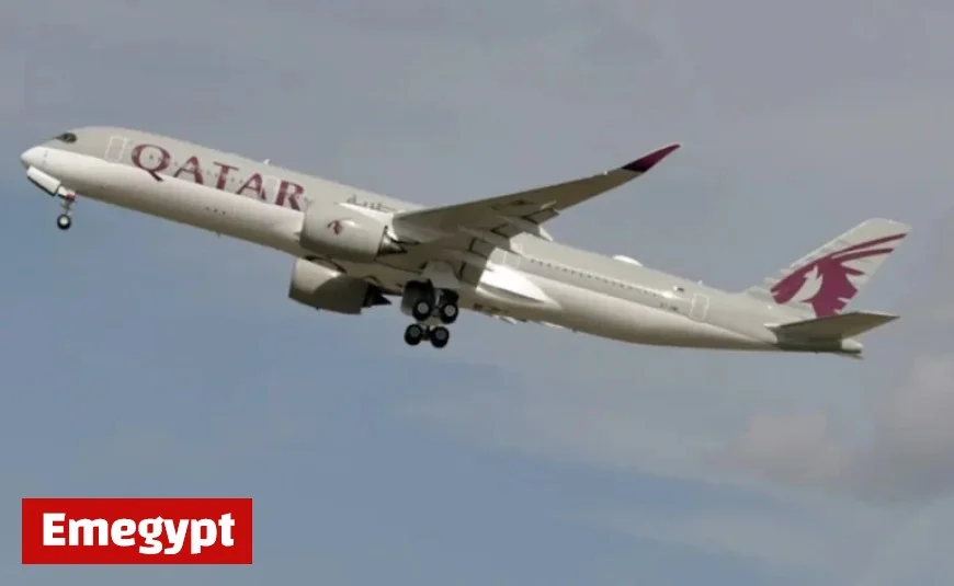 Vegetarian Passenger Tragically Dies After Being Advised to Navigate Around Meat in Qatar Airways Meal