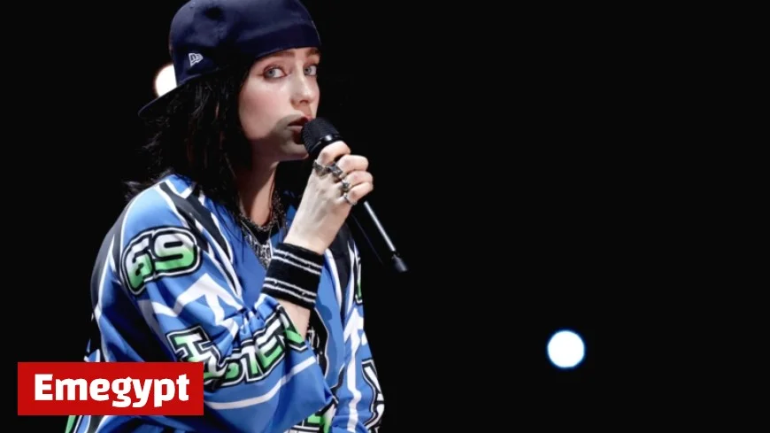 Billie Eilish Shockingly Grabbed and Pulled by Fan at Miami Concert