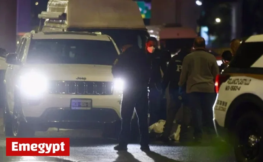 Argentinian Man Driving Luxury SUV Killed During Robbery Attempt in MH