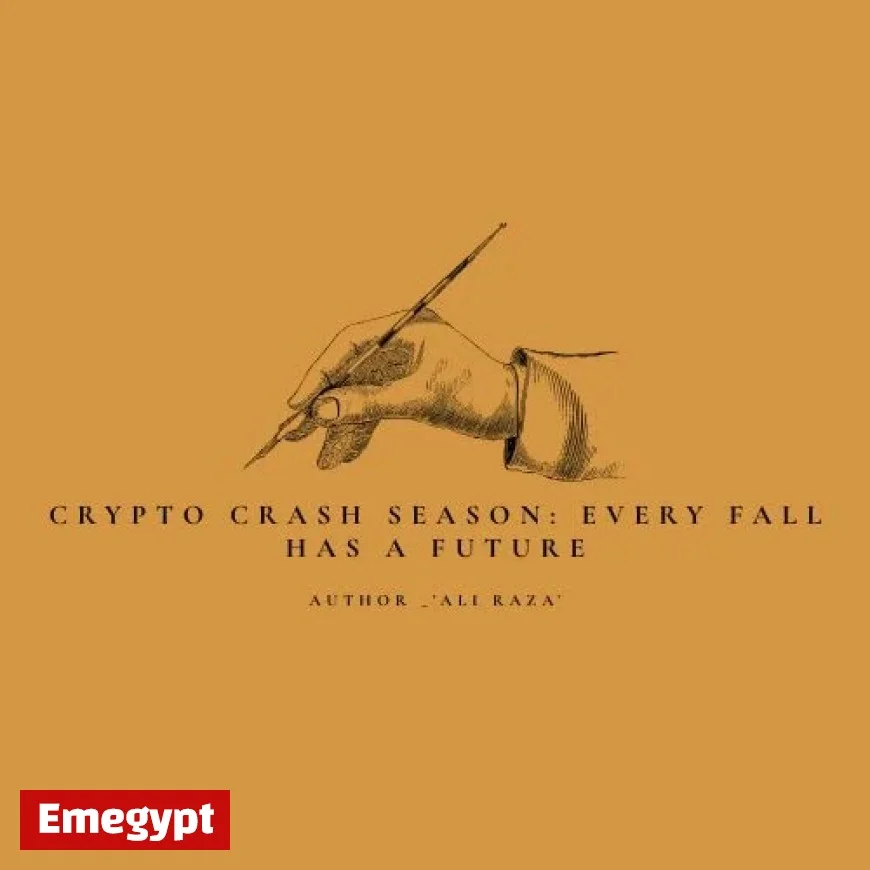 Exploring the Future of Crypto: What Every Fall Means for Digital Currencies