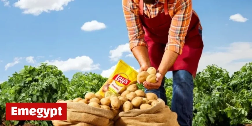Lay’s Unveils Major Rebranding After Shocking Survey Reveals 42 Percent of Consumers Unaware Chips Use Potatoes