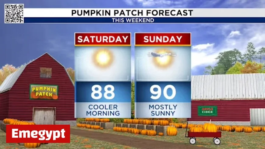 Experience an amazing weekend with perfect weather in Houston