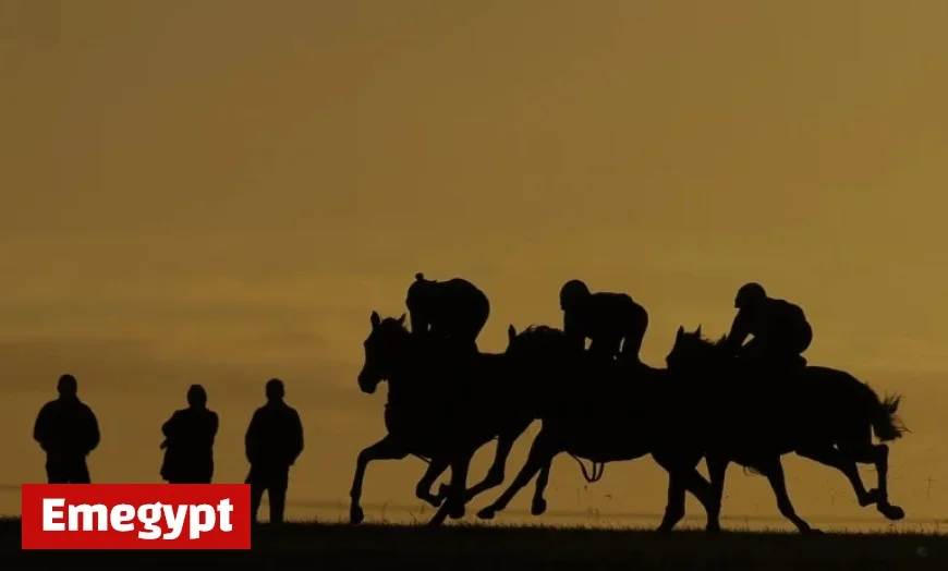 Top Three Weekend Bets You Can’t Miss and Future Predictions