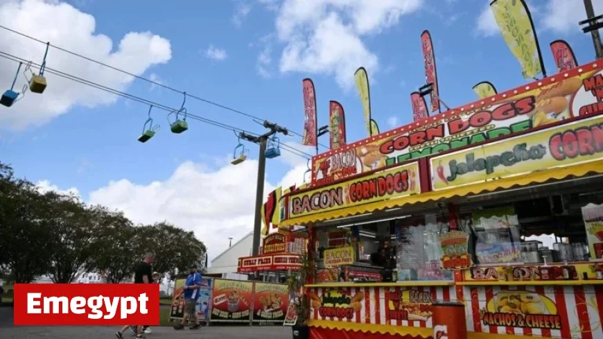 Discover What You Can Enjoy at the Georgia National Fair with Just $25 Per Person