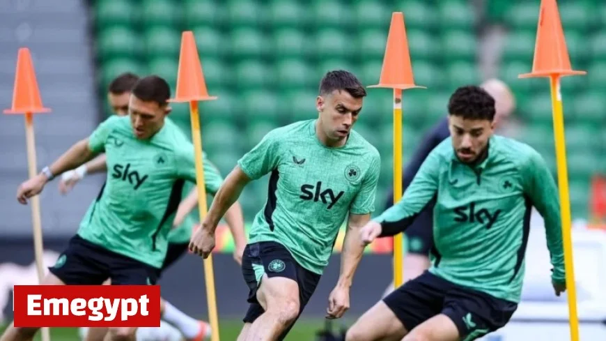 Portugal vs Republic of Ireland: Hallgrimsson Claims Irish Must Deliver Near-Perfect Performance in World Cup Qualifier