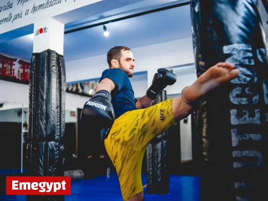 Return to the Octagon