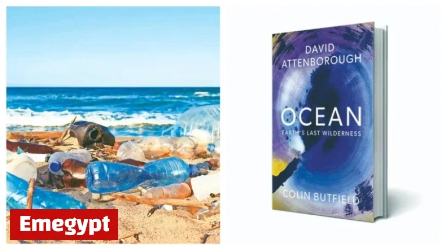 Engaging Book Review on The Deep Blue Friend Novel