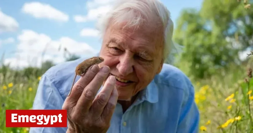 Sir David Attenborough to Star in Three New BBC Shows Leading Up to His 100th Birthday