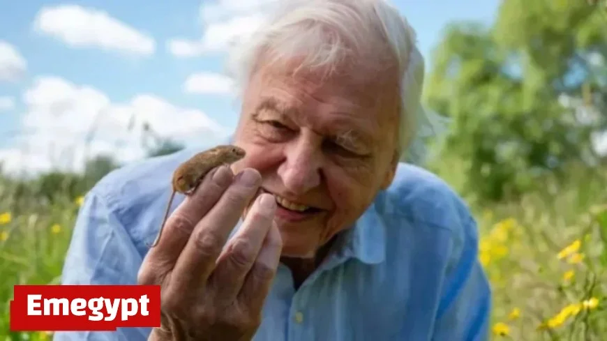 Sir David Attenborough to Feature in Three Exciting BBC Shows Ahead of His 100th Birthday Celebration