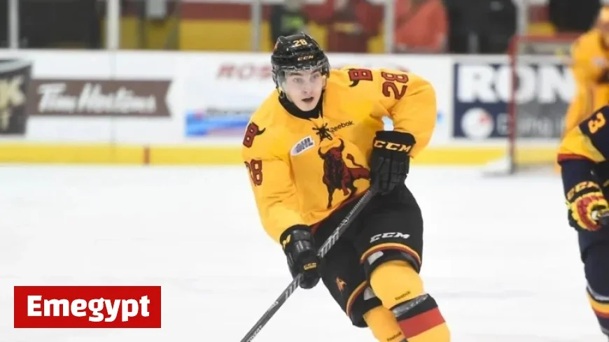 Tomasek’s Journey: A Long Road to NHL Triumph