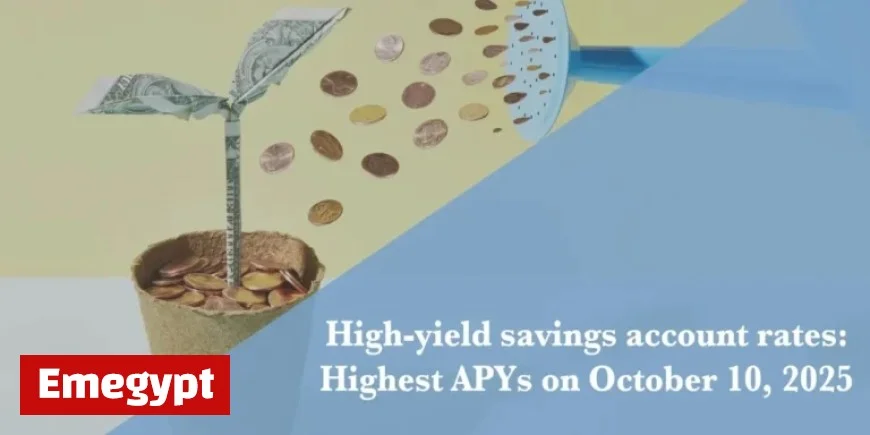 Top High-Yield Savings Accounts of October 2025 Offering Up to 5.00% APY
