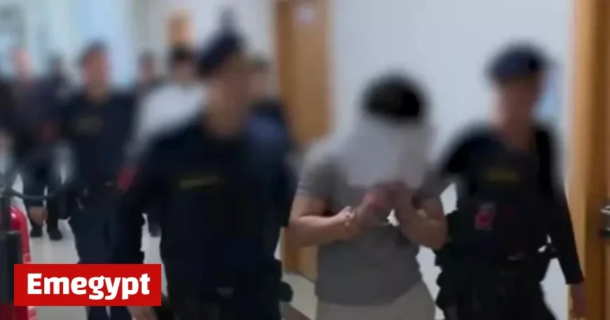 Schoolboys Allegedly Assault Teacher and Burn Down Her Home in Heinous Crime