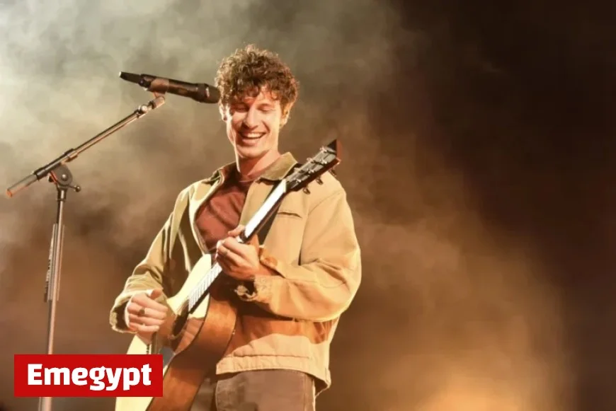 Shawn Mendes Chicago Concert Sparks a Comeback for Retired Fangirls Everywhere