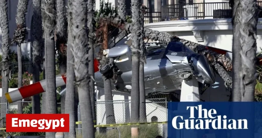Helicopter Crash Lands into Palm Trees at Famous California Beach