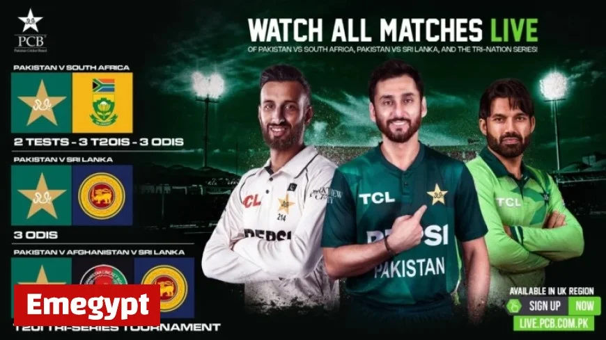 Pakistan Cricket Board unveils new OTT platform for cricket fans