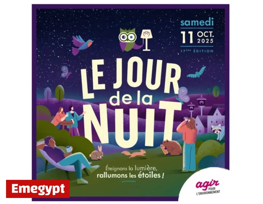 Experience the Magic of Night at Lac des Nations