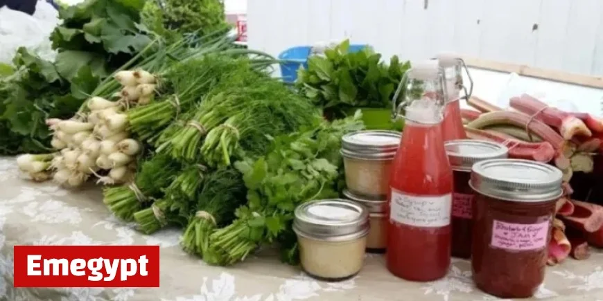 Discover the Avalon Food Hub Revolutionizing Local Shopping Experiences