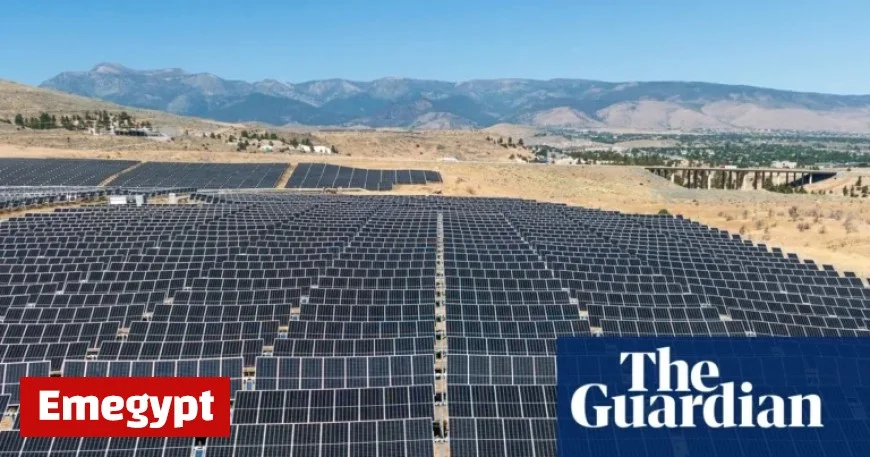 Trump Administration Halts Key Solar Project in Latest Blow to Renewable Energy