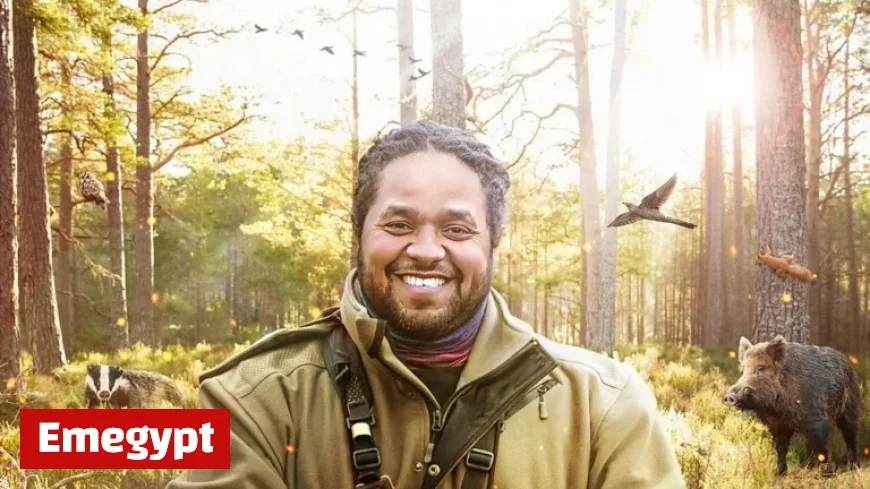 Stream Hamza’s Hidden Wild Isles in the US: Your Complete Viewing Guide