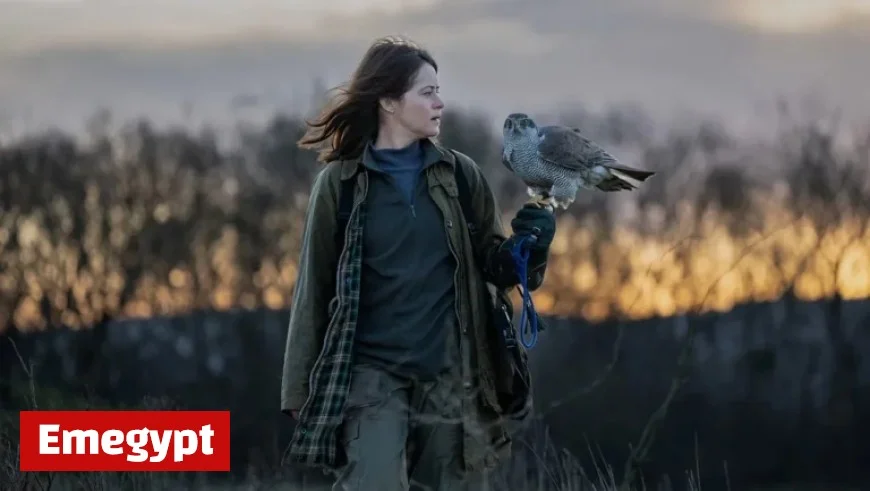 Roadside Acquires H Is for Hawk with Claire Foy Set for Oscar Spotlight After Stellar Performance