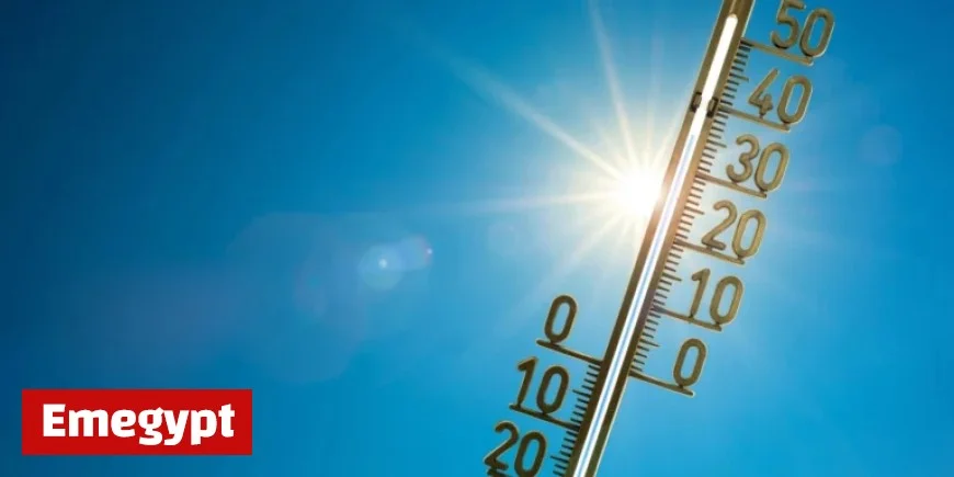 Toronto Weather Forecast: Enjoy Mild Temperatures and a Breezy Afternoon Tomorrow