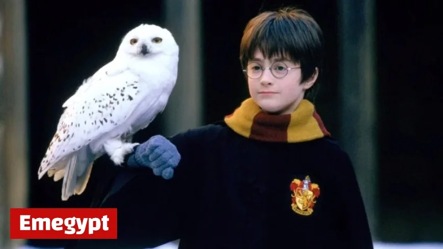 Discover My Ranking of Every Harry Potter Movie as the Franchise Tops My Favorites