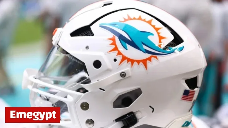 Dolphins aim to turn the tide against top-tier opponents