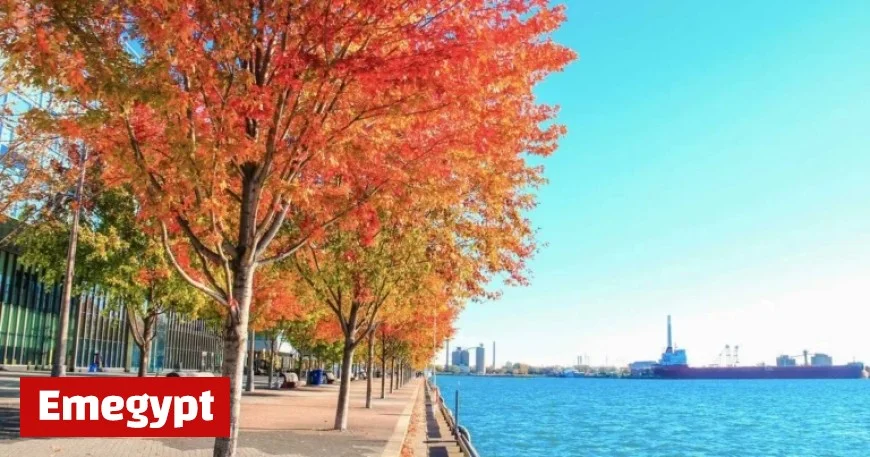 Discover the Top 10 Spots to Experience Stunning Fall Colors in Toronto