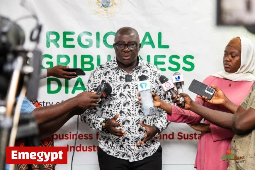 Ghana’s Post-Harvest Losses Capable of Feeding Ashanti Region for Over a Year Says Agri-Impact CEO