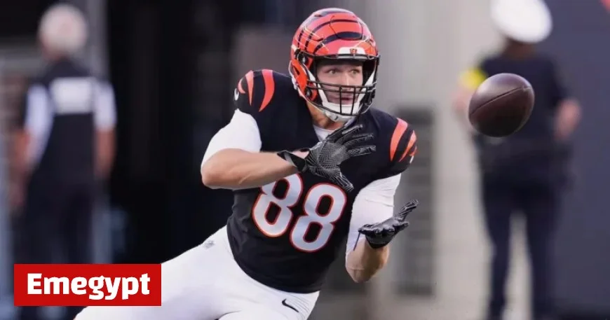 Cincinnati Bengals’ Mike Gesicki Suffers Pectoral Injury Against Green Bay Packers