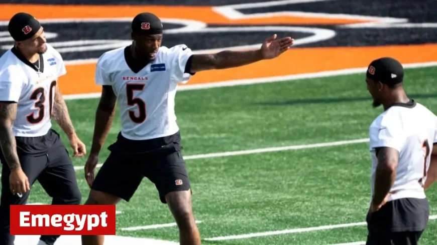 Bengals Star Receiver Tee Higgins Under Evaluation for Head Injury in Crucial NFL Week 6 Game Against Packers