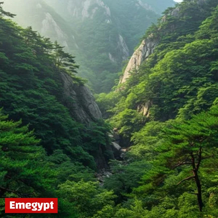 “자정부터 새벽까지 약한 비… 오후 늦게 다시 빗방울”
)))” config=”eyJtb2RlIjoiY2hhdCIsIm1vZGVsIjoiZ3B0LTRvIiwibWVzc2FnZXMiOlt7InJvbGUiOiJ1c2VyIiwiY29udGVudCI6IlJld3JpdGUgdGhlIGZvbGxvd2luZyBuZXdzIGhlYWRsaW5lIHRvIG1ha2UgaXQgbW9yZSBlbmdhZ2luZyBhbmQgb3B0aW1pemVkIGZvciBTRU8uIEtlZXAgdGhlIG9yaWdpbmFsIG1lYW5pbmcgYW5kIHRvbmUuIFRoZSBvdXRwdXQgbXVzdCBiZSBpbiBFbmdsaXNoIGxhbmd1YWdlIG9ubHksIGFuZCBkbyBub3QgaW5jbHVkZSBhbnkgcXVvdGF0aW9uIG1hcmtzIG9yIHB1bmN0dWF0aW9uIG1hcmtzIGFyb3VuZCB0aGUgaGVhZGxpbmUuXG5IZWFkbGluZTogW3djYy1tYWluLXRpdGx